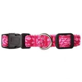 Pawise M 35-50 cm 20 mm Pembe Köpek Tasması
