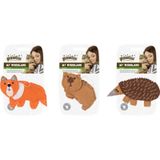 Pawise My Woodland Karışık Kedi Oyuncağı