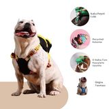 Pawlook Design, Gimme Five Siyah,Çantalı Göğüs Tasması, Köpek Sırt Çantası – 2’si 1 Arada Göğüs Tasması Fonksiyonlu, Ayarlanabilir, Küçük & Büyük Irklar için Small,