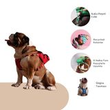 Pawlook Design,Çantalı Göğüs Tasması, Köpek Sırt Çantası – 2’si 1 Arada Göğüs Tasması Fonksiyonlu, Ayarlanabilir, Küçük & Büyük Irklar için,Kırmızı, Large, Recycled
