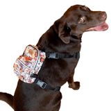 Pawlook Design,Çantalı Göğüs Tasması, Köpek Sırt Çantası – 2’si 1 Arada Göğüs Tasması Fonksiyonlu, Ayarlanabilir, Küçük & Büyük Irklar için,Paws, Small