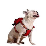 Pawlook Gimme Five Kırmızı Çantalı Göğüs Tasması,Köpek Sırt Çantası – Göğüs Tasması İşlevli, Geri Dönüştürülmüş Malzeme, Ayarlanabilir, Çok Cepli, 5 Renk Seçenekli, Small Recycled