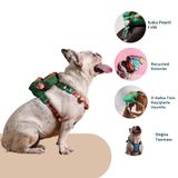Pawlook Gimme Five Mavi Çantalı Göğüs Tasması, Köpek Sırt Çantası – Göğüs Tasması İşlevli, Geri Dönüştürülmüş Malzeme, Ayarlanabilir, Çok Cepli, 5 Renk Seçenekli, Small Recycled