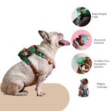 Pawlook Gimme Five Yeşil Çantalı Göğüs Tasması, Köpek Sırt Çantası – Göğüs Tasması İşlevli, Geri Dönüştürülmüş Malzeme, Ayarlanabilir, Çok Cepli, Recycled