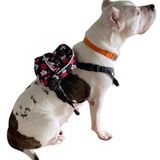 Pawlook Kırmızı Pati Çantalı Göğüs Tasması, Köpek Sırt Çantası –, Su Geçirmez, Göğüs Tasması Fonksiyonlu, Ayarlanabilir, Large