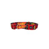 Pawlook Köpek Boyun Tasması – Geri Dönüştürülmüş, Ayarlanabilir, Emniyet Tokalı – Küçük ve Büyük Irklar için – Tüy Toplamaz, Yıkanabilir, AirTag & İsimlik Uyumlu, Laci Large