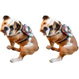 Pawlook Köpek Sırt Çantası – 2’si 1 Arada Göğüs Tasması Fonksiyonlu, Su Geçirmez, Ayarlanabilir, Küçük & Büyük Irklar için,Travel, Çantalı Göğüs Tasmas, Small (2 paketi)