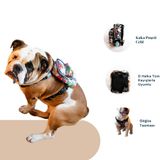 Pawlook Köpek Sırt Çantası – 2’si 1 Arada Göğüs Tasması Fonksiyonlu, Su Geçirmez, Ayarlanabilir, Küçük & Büyük Irklar için,Travel, Çantalı Göğüs Tasmas, Small