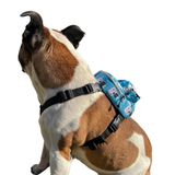 Pawlook, Köpek Sırt Çantası – Geri Dönüştürülmüş Malzeme, Su Geçirmez, Göğüs Tasması Fonksiyonlu, Ayarlanabilir,Çantalı Göğüs Tasması,Cute,Small
