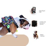 Pawlook Street Smart Köpek Sırt Çantası – Su Geçirmez, Göğüs Tasması Fonksiyonlu, Ayarlanabilir Renkli Pati Çantalı Göğüs Tasması Large