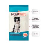 Pawmas 10 kg Somonlu Yetişkin Köpek Maması