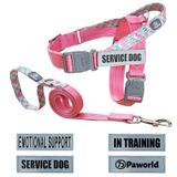 Paworld Köpek Koşum Takımı ve Kurşun Seti, Çekme Önleyici Köpek Koşum Takımı, Köpek Kurşun ve 4 Yansıtıcı Yama ile Köpek Yelek Koşum, Emniyet Kilidi ile 2 Toka, Açık Hava Yürüyüşü için Boğulma Yok