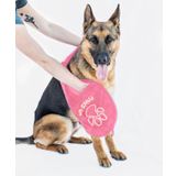 Paws Up Köpekler için XL Pençe Temizleme Havlusu çamuru giderir Kir Çim Kum alerjenleri Makinede Yıkanabilir Mikrofiber İki El Cepli Hızlı Kuruyan Köpek Banyo Havlusu için de Harika. 86 cm X 25 cm XL