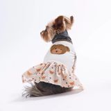 PawStar 26307 Teddy Belle Küçük Irk Köpek Elbisesi