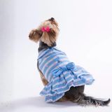PawStar 26309 Ocean Love Küçük Irk Köpek Elbisesi