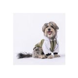 Pawstar Açık Yeşil PS Desing Kedi Köpek Ceketi Kedi Köpek Kıyafeti Kedi Köpek Elbisesi Açık Yeşil 2XL
