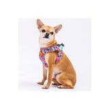 Pawstar Air-Mesh Balloons Köpek Göğüs Tasması (L)