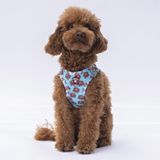 Pawstar Air-Mesh Bears Köpek Göğüs Tasması (M)