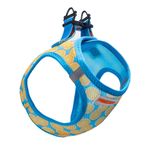 Pawstar Air-Mesh Citrus Köpek Göğüs Tasması (S)