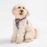 Pawstar Air-Mesh Dino Köpek Göğüs Tasması (S)