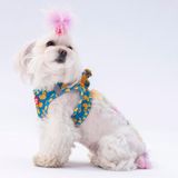 Pawstar Air-Mesh Ducks Köpek Göğüs Tasması (L)