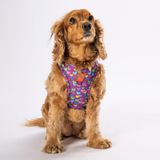Pawstar Air-Mesh Hearts Köpek Göğüs Tasması (S)
