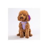 Pawstar Air-Mesh Ice Cream Köpek Göğüs Tasması (M)