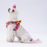 Pawstar Air-Mesh Monsters Köpek Göğüs Tasması (S)