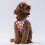 Pawstar Air-Mesh Mosaic Köpek Göğüs Tasması (M)