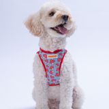 Pawstar Air-Mesh Mushroom Köpek Göğüs Tasması (XS)