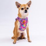 Pawstar Air-Mesh Rosea Camouflage Köpek Göğüs Tasması (S)