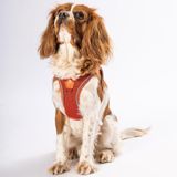 Pawstar Air-Mesh Terracotta Köpek Göğüs Tasması (L)