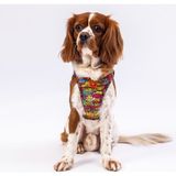 Pawstar Air-Mesh Wow Köpek Göğüs Tasması - Kırmızı