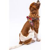 Pawstar Air-Mesh Wow Köpek Göğüs Tasması - XL - Kırmızı