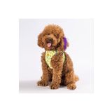 Pawstar Avocado Air-mesh Göğüs Tasması Kedi Köpek Göğüs Tasması XLarge