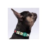 Pawstar Avocado Avokado Desenli Köpek Boyun Tasması Ayarlanabilir Köpek Tasması