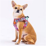 Pawstar Balloons Air-mesh Göğüs Tasması Kedi Köpek Göğüs Tasması XLarge