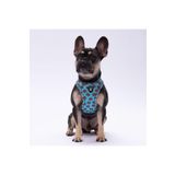 Pawstar Bears Air-mesh Göğüs Tasması Kedi Köpek Göğüs Tasması