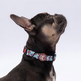 Pawstar Bears Ayı Desenli Köpek Boyun Tasması Ayarlanabilir Köpek Tasması M Size (32-48CM Boyun Aralığı) - Turkuaz