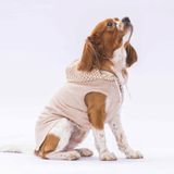 Pawstar Bej Gingham Kapşonlu Kedi Köpek Tişörtü- Kedi Köpek Kıyafeti S