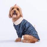 Pawstar Blue Brillante Su İtici Küçük Irk Köpek Yağmurluğu (M)