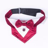 Pawstar Bordo Smokin Kedi/Köpek Fuları (1)