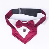 Pawstar Bordo Smokin Kedi/Köpek Fuları