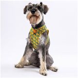 Pawstar Cactus Air-mesh Göğüs Tasması Kedi Köpek Göğüs Tasması Xsmall