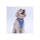 Pawstar Charm Air-mesh Göğüs Tasması Kedi Köpek Göğüs Tasması Nazar Boncuğu Desenli Köpek Tasması