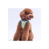 Pawstar Citrus Air-Mesh Göğüs Tasması Kedi Köpek Göğüs Tasması Narenciye Desenli Köpek Tasması