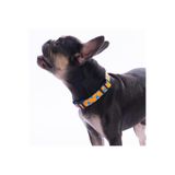 Pawstar Citrus Narenciye Desenli Köpek Boyun Tasması Ayarlanabilir Köpek Tasması