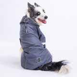 Pawstar Colombia Gri Su Geçirmez Orta-Büyük Irk Köpek Pratik Yağmurluk (S)