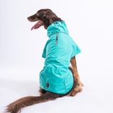 Pawstar Colombia Mint Su Geçirmez Orta-Büyük Irk Köpek Pratik Yağmurluk (XS)