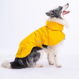Pawstar Colombia Sarı Su Geçirmez Köpek Yağmurluk Orta-Büyük Irk İçin Pratik Micro Kumaş XS